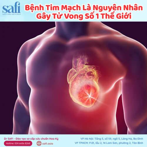 Bệnh tim mạch là nguyên nhân gây tử vong số 1 thế giới