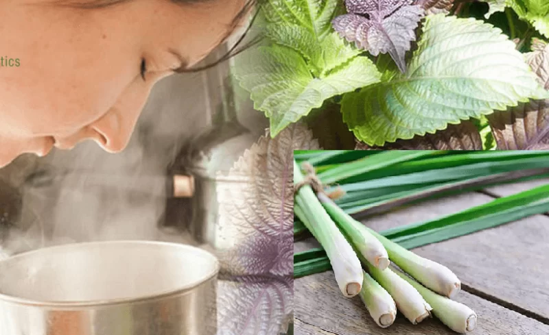 15 CÁCH CHỮA CÚM HIỆU QUẢ TẠI NHÀ GIÚP BẠN NHANH KHỎI BỆNH